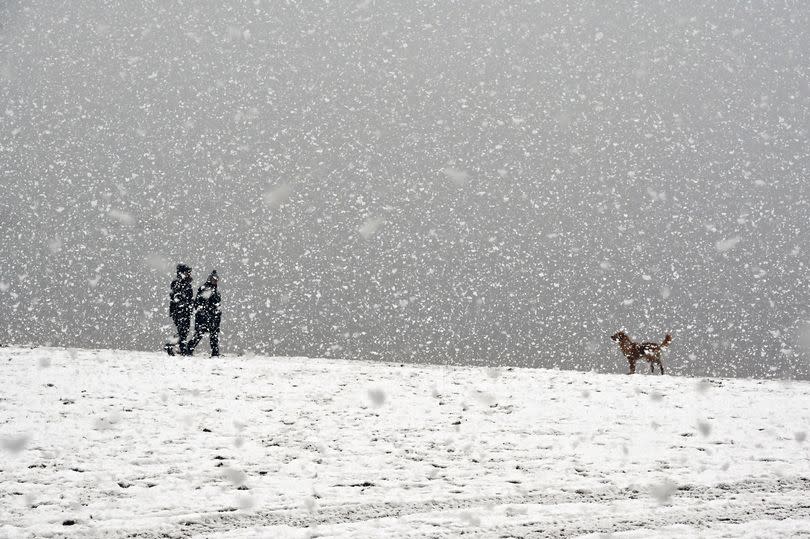 Forecasts have painted a chilly picture. -Credit:Ken Jack/Getty Images