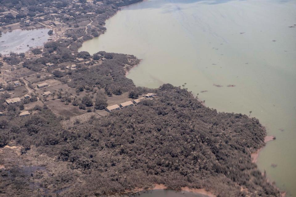 Ash coats homes and vegetation in the Pacific nation of Tonga following Saturday’s volcanic eruption (EPA/NZDF)