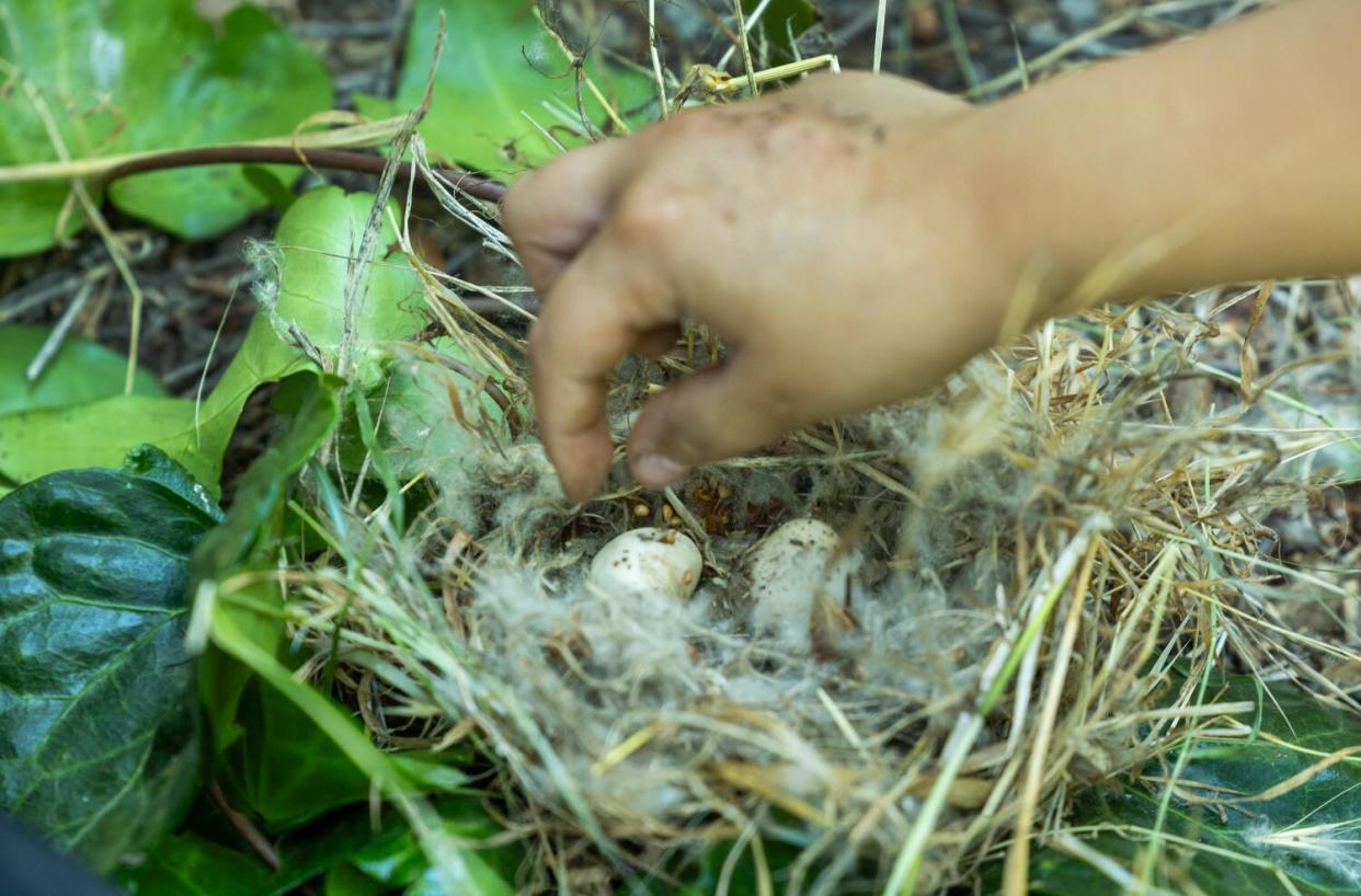 A child builds a pretend bird's nest.