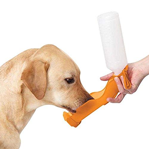 Guardian Gear Pet Waterer Handi-Drink Portable Water Drinking Bottle For Pets (Amazon / Amazon)