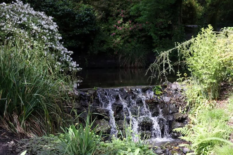 One of the pretty water features at Clyne Gardens