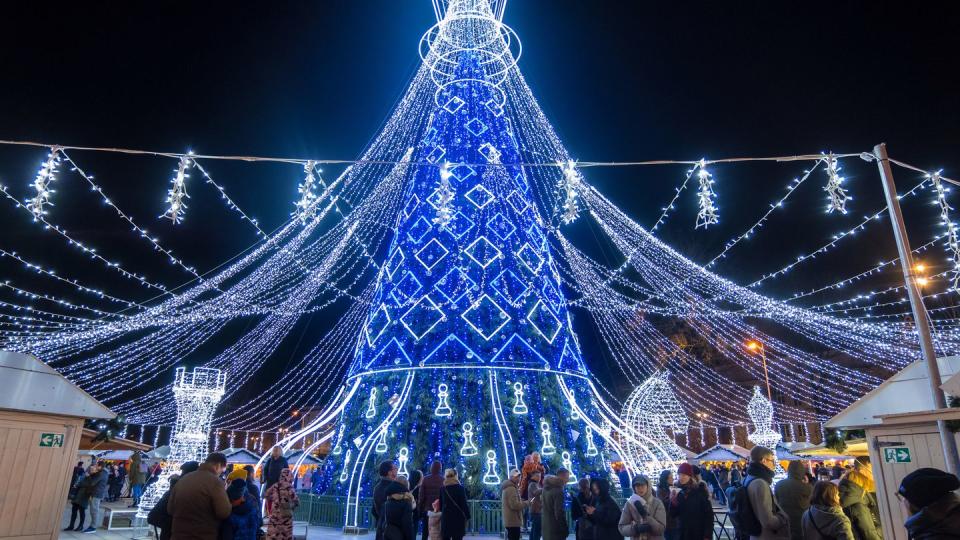 christmas tree at cathedral square in vilnius, lithuania