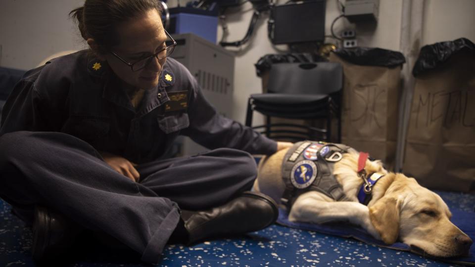 U.S. Navy Lt. Cmdr. Melissa Avidano pets Demo, the aircraft carrier Dwight D. Eisenhower's command facility dog, onboard the cruiser Philippine Sea in the Arabian Gulf on Dec. 4, 2023.  (MC2 Keith Nowak/U.S. Navy)