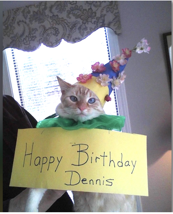 A cat named Dennis wears a festive hat with flowers and a green collar, holding a sign that says "Happy Birthday Dennis" in a home setting