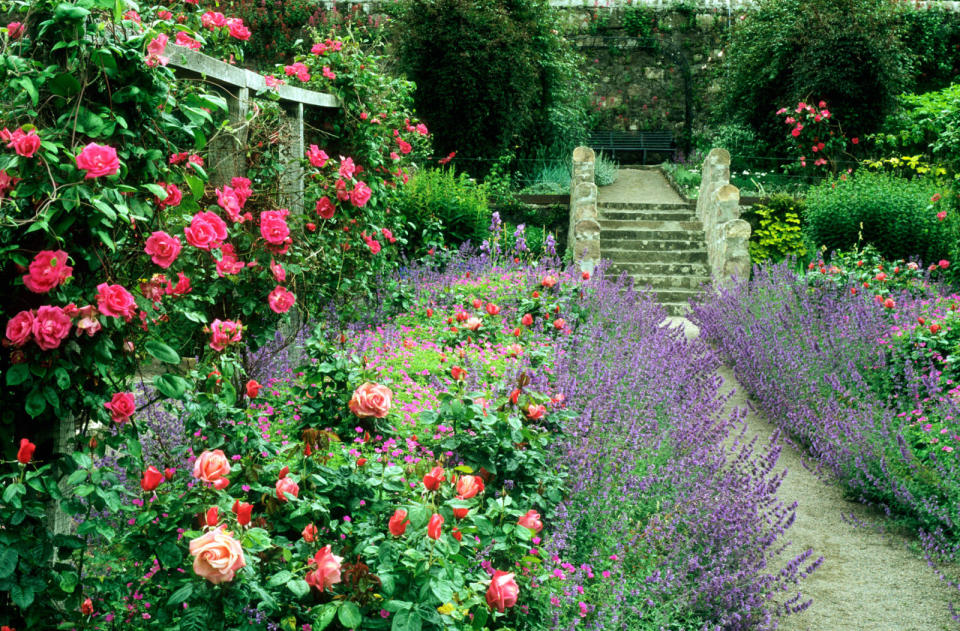 Embrace natural garden features like a hillside.