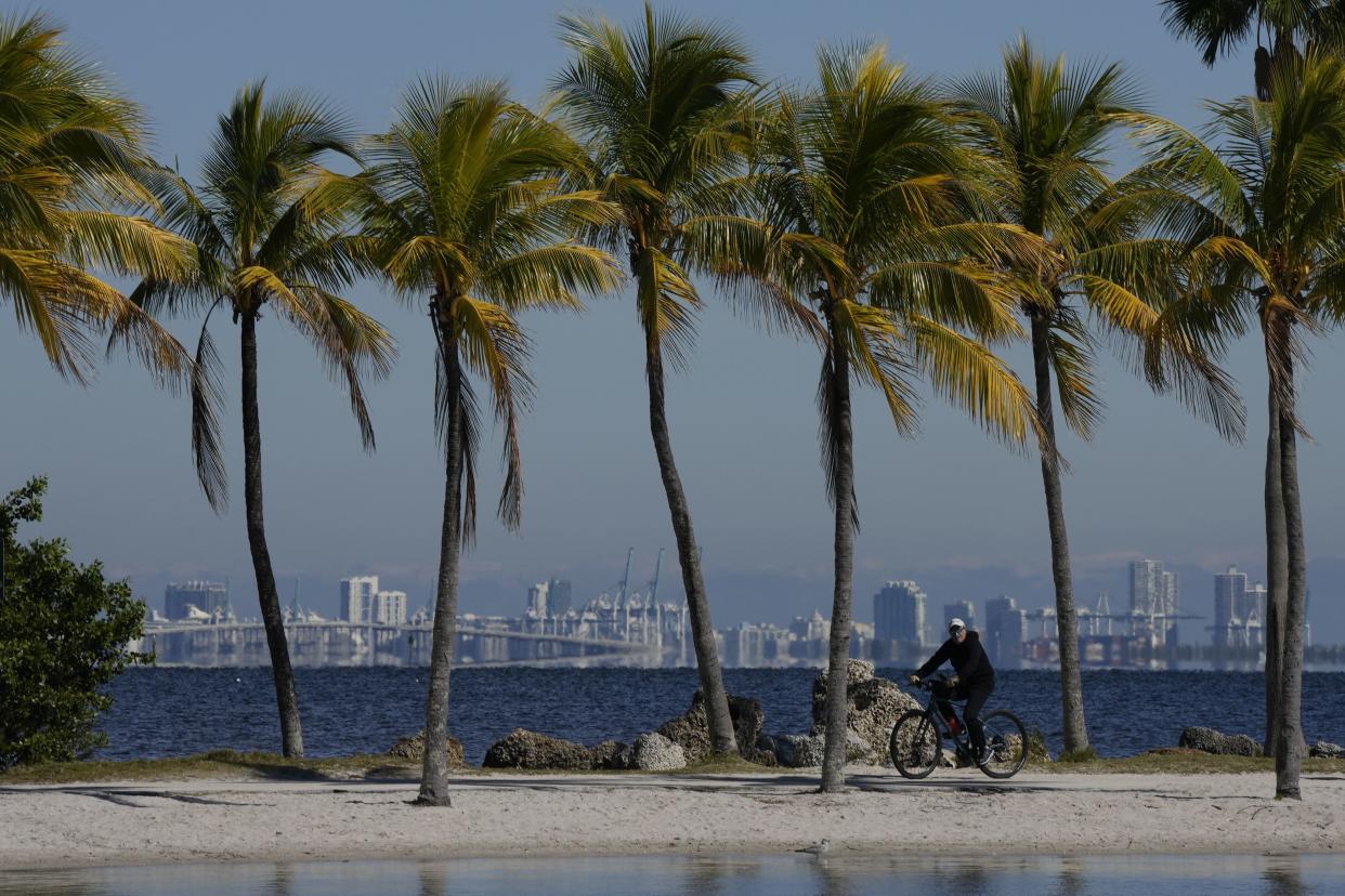 A man bikes at Matheson Hammock Park with PortMiami and Miami Beach seen in the background, as South Florida experiences its coldest weather so far this winter.