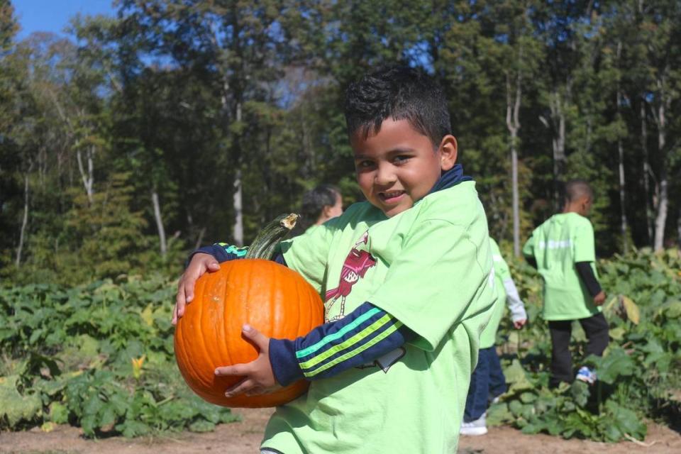 Get your pumpkins before the end of pumpkin-picking season.