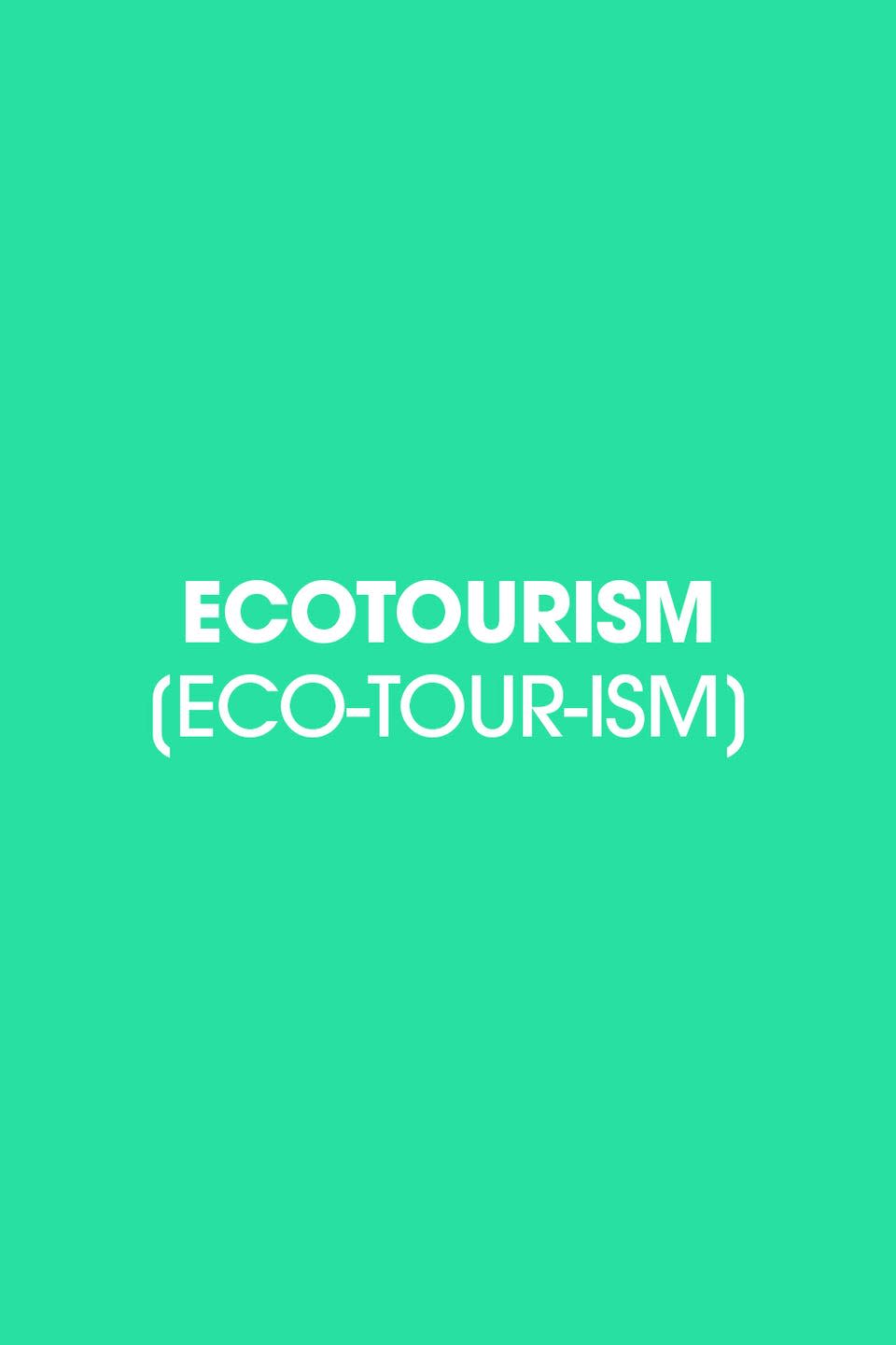 1980: Ecotourism