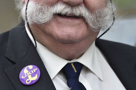 A UK Independence Party (UKIP) supporter wears a badge in Clacton-on-Sea in south east England August 29, 2014. REUTERS/Toby Melville