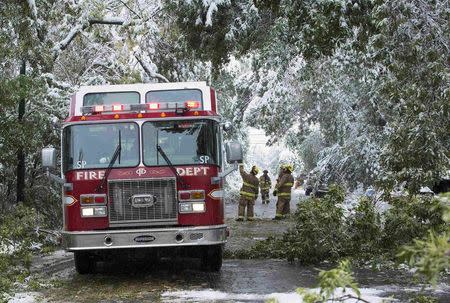 Calgary firefighters move trees that damaged cars, blocked roads and fell on power lines during a summer snow storm in Calgary, Alberta, September 10, 2014. REUTERS/Todd Korol
