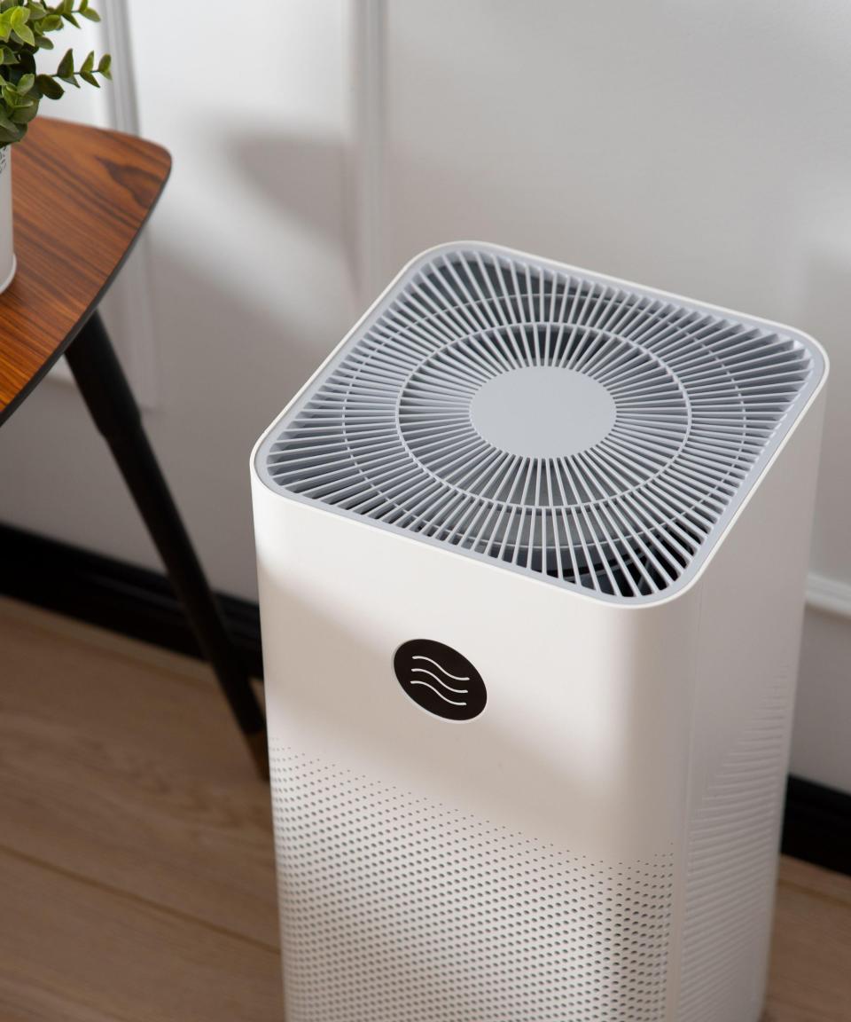 10. Add an air purifier to trap incoming pollen and allergens
