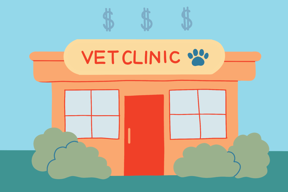illustration of pet clinic