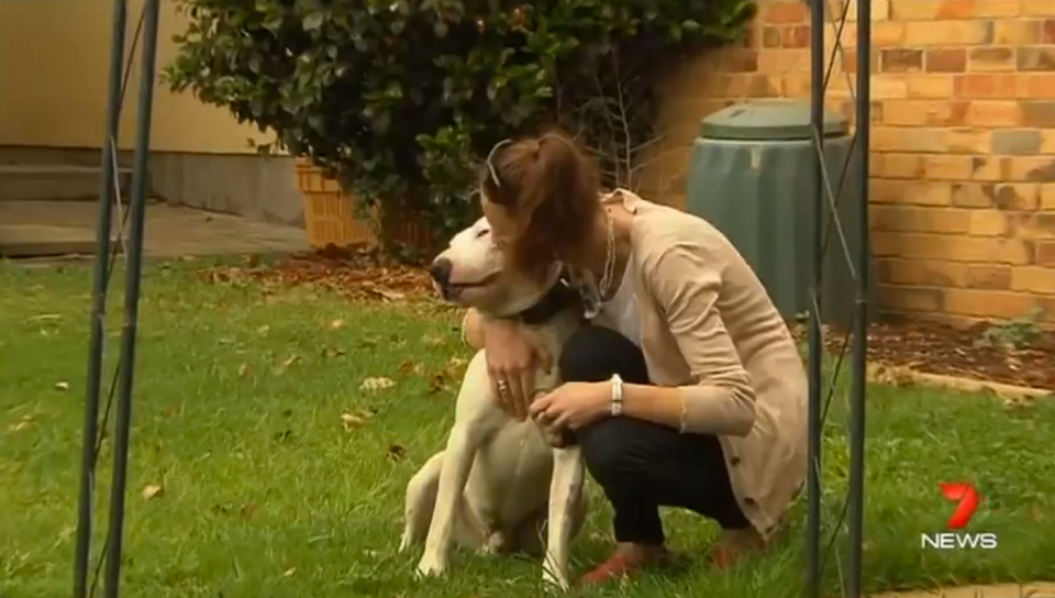 Fiona says Pickle potentially saved her life. Photo: 7 News