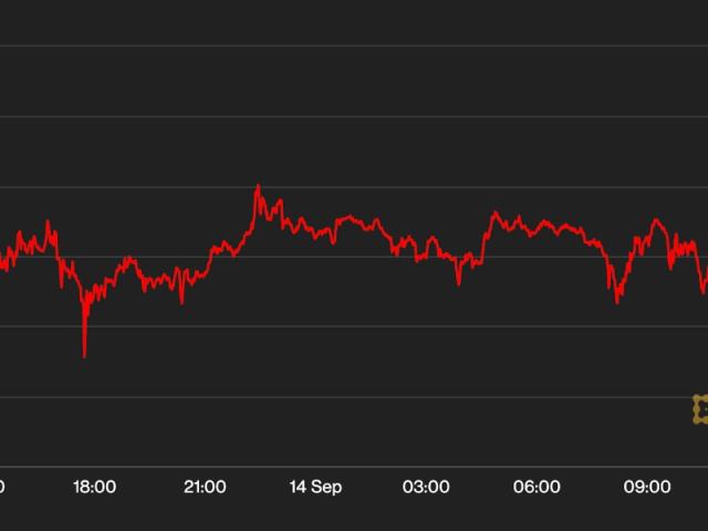 coindesk stock