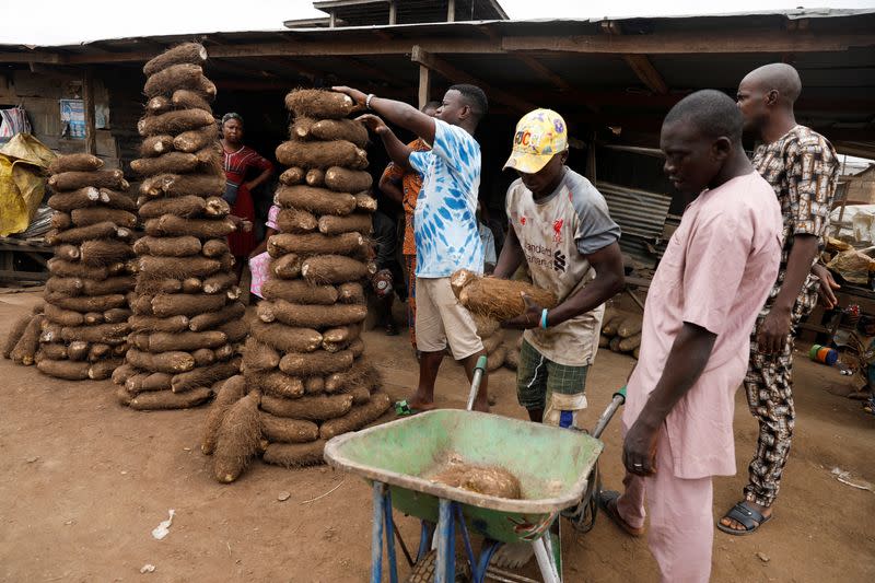 Yam sellers load yam tubers into a wheelbarrow at Bodija market in Ibadan