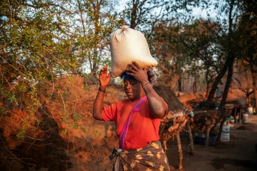 Ndaheni Mashele, 66, (pictured), is one of the women who harvest the Baleni salt, prized by top chefs for crystals that are tiny, evenly-sized and chunky