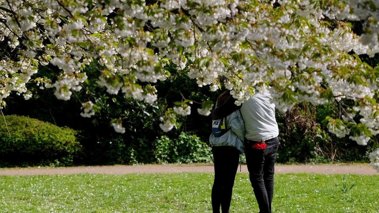 Unter blühenden Bäumen umarmen sich ein Mann und eine Frau in einem Park an der Außenalster.