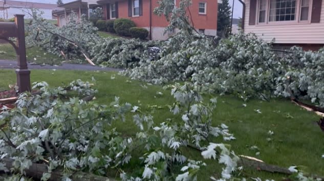 Tree debris on road after thunderstorm on May 26. (Drew Aunkst/ WFXR News)