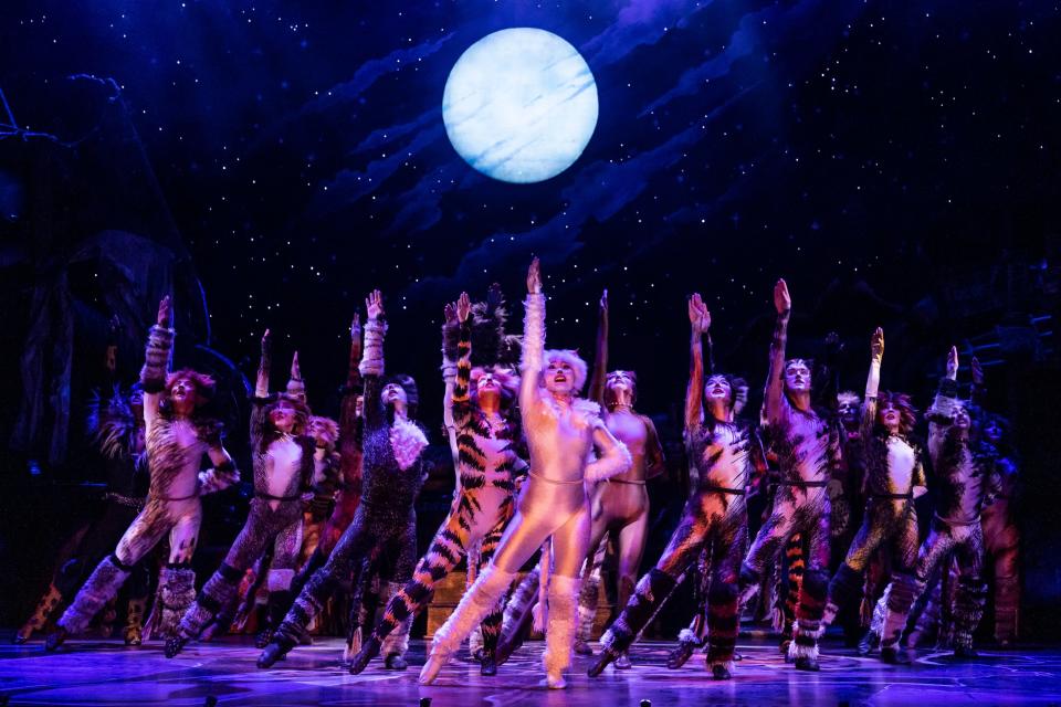 The 2021-2022 national tour of "Cats" plays Dec. 2-5, 2021, at the Morris Performing Arts Center in South Bend as part of American Theatre Guild's "Broadway Is Back in South Bend" series.