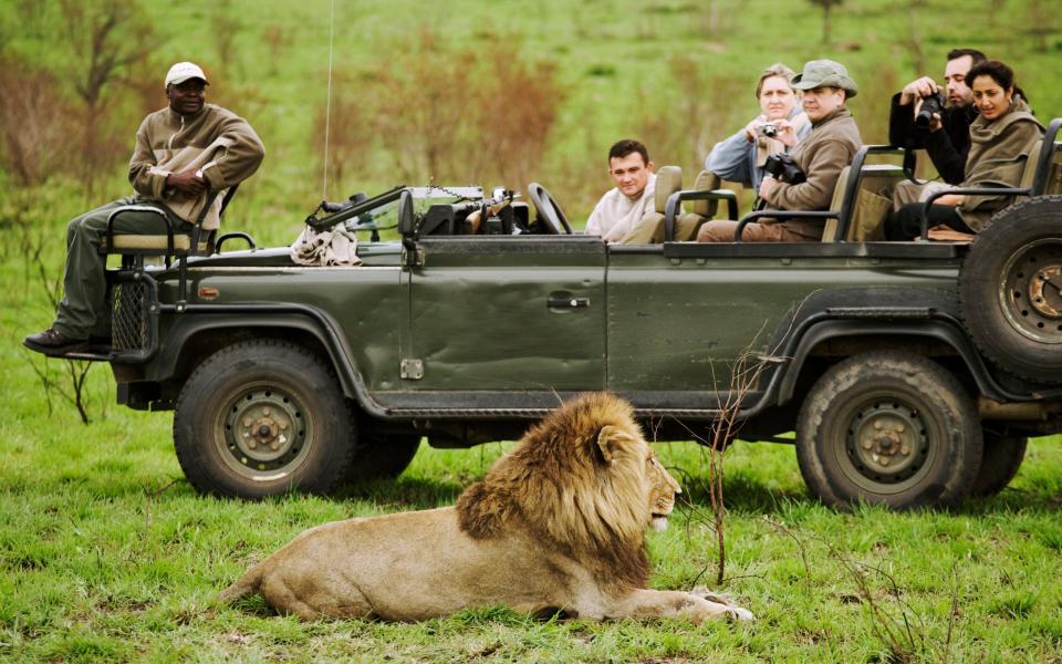 Kruger safari - Martin Harvey/The Image Bank RF