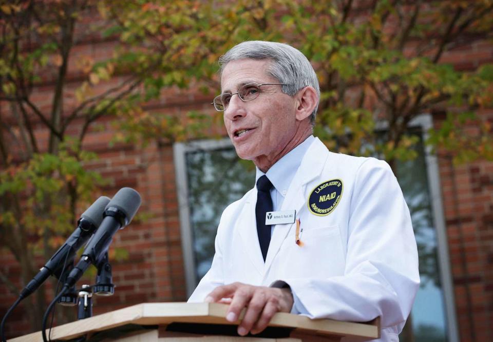 <p>Alex Wong/Getty</p> Dr. Fauci speaking to the media in 2014