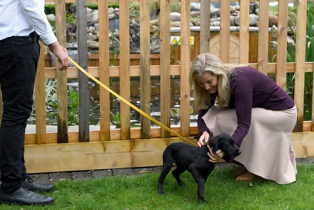  Sophie was taken with Hendrix, the 15-week-old cocker spaniel puppy, of the Sturt family. Stuart C Wilson/PA Wire