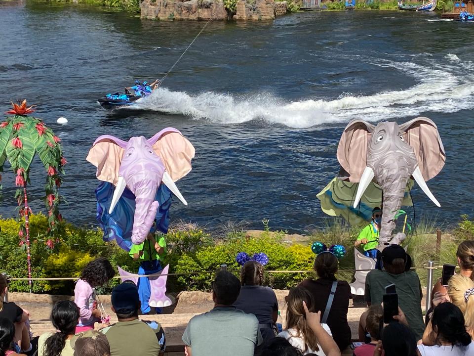 kittales performance happening at animal kingdom