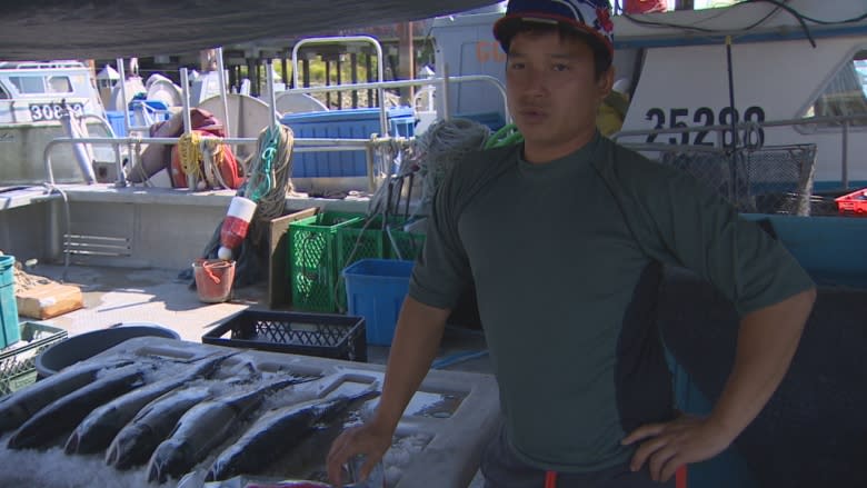 'Gorgeous fish': Steveston fishery workers haul in sockeye salmon bounty