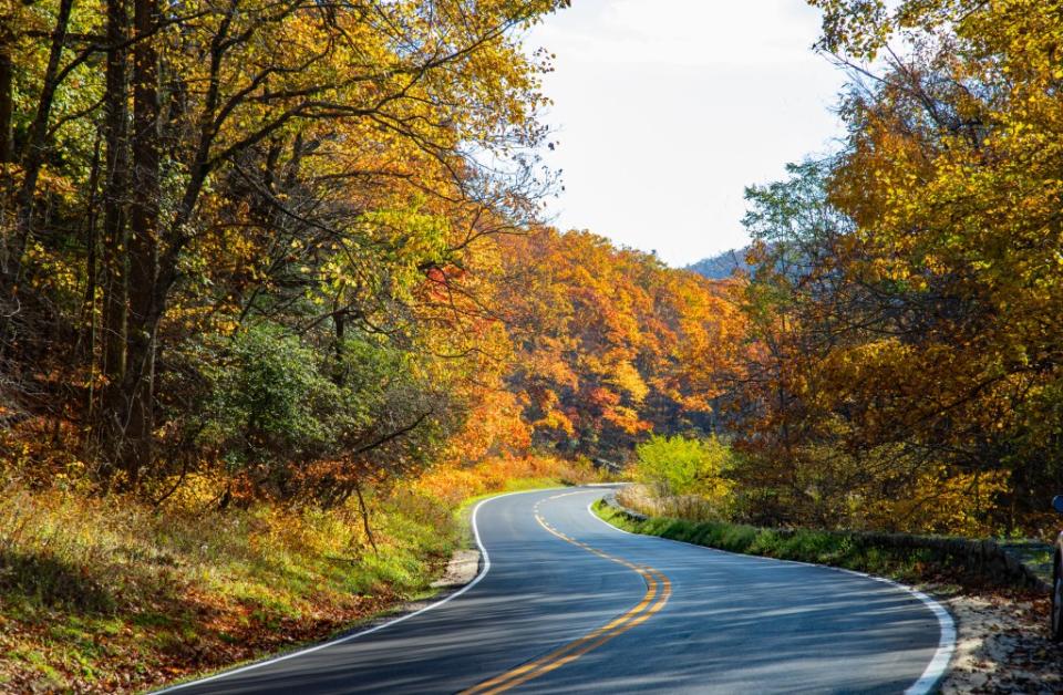 Skyline Drive in Shenandoah Park in autumn via Getty Images