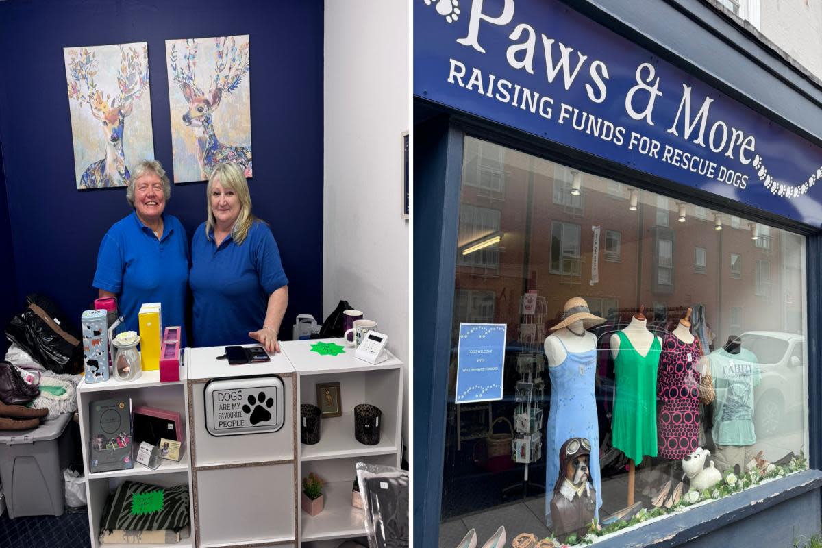 Paws and More on Castle Street <i>(Image: Newsquest)</i>