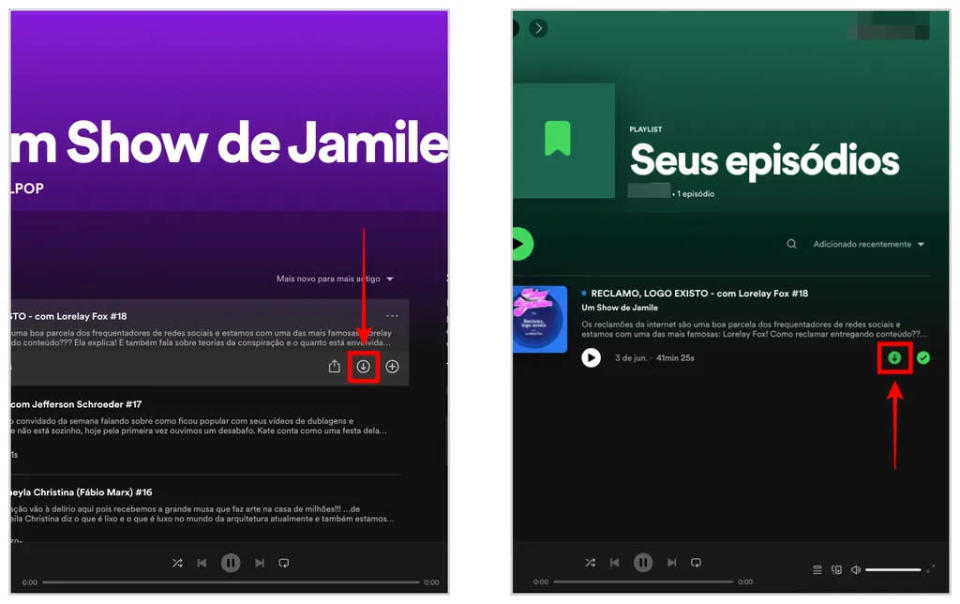 Como baixar podcast do Spotify: episódios ficam salvos para você escutar offline (Captura de tela: Caio Carvalho)