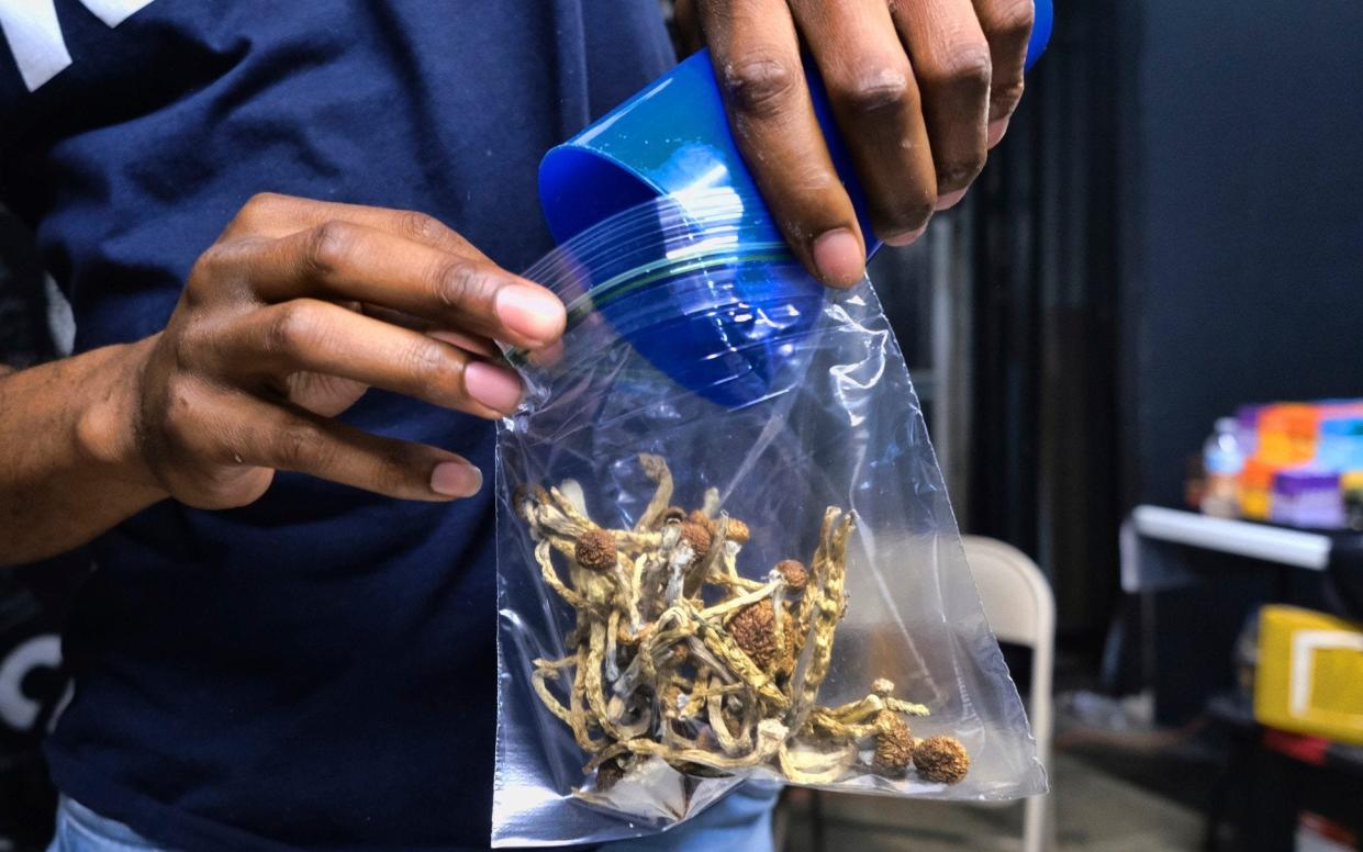 A vendor bags psilocybin mushrooms