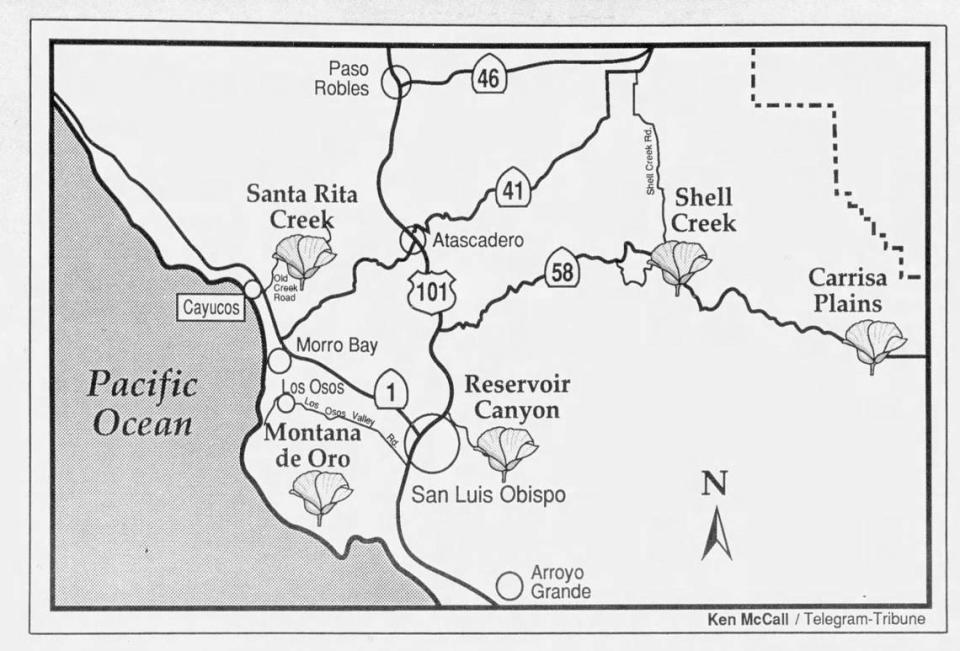 The Telegram-Tribune published a map of wildflower destinations April 9, 1988. Ken McCall