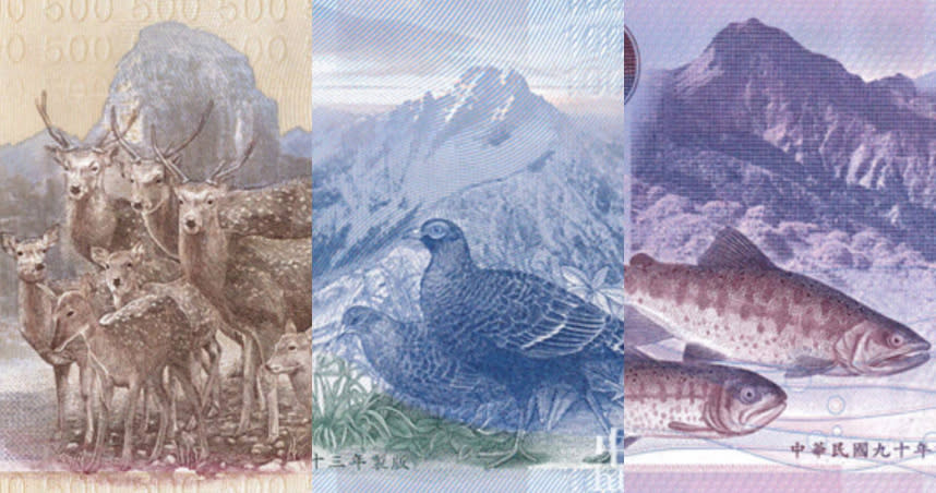 新台幣鈔票背後的動物選擇，原來與該動物的棲息高度有關。（示意圖／翻攝自中央銀行券幣數位博物館）