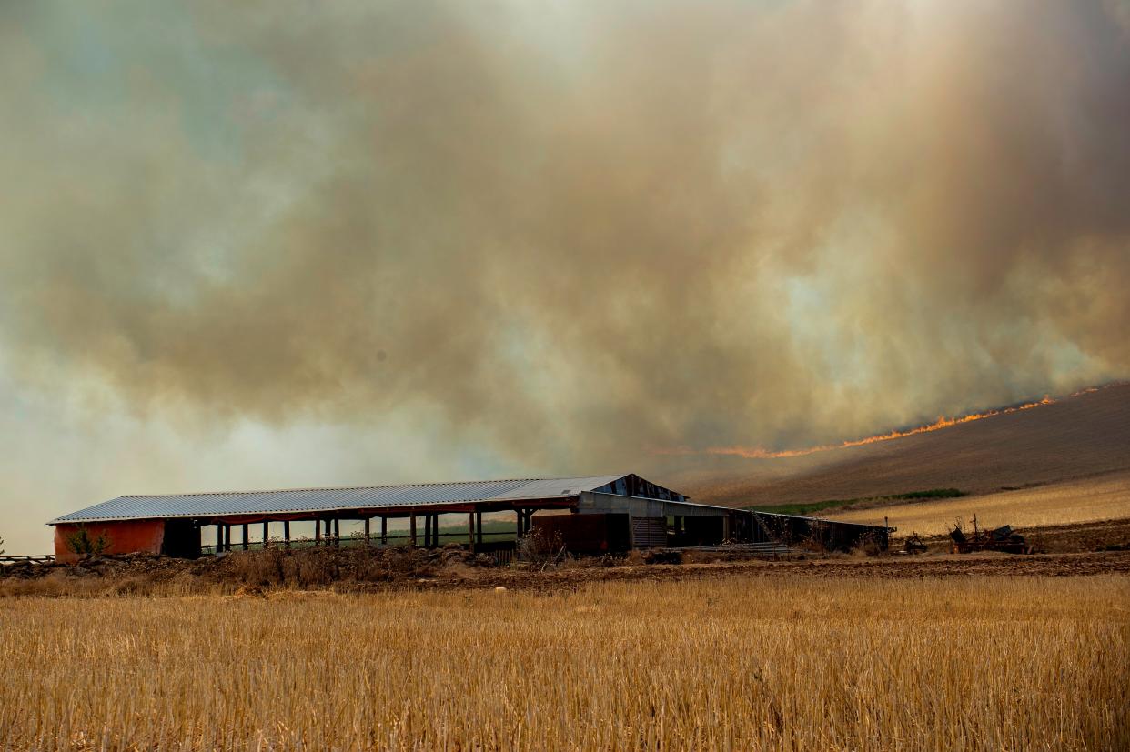 A fire burns fields, in Velestino, Magnesia prefecture, Greece (EPA)