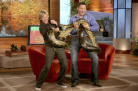 <p>The host (and audience) fell into hysterics when Jeff Corwin's anaconda wanted to get acquainted with DeGeneres. "I'll never forget when that snake suddenly wrapped itself around me," DeGeneres says. "In some states, we would be considered married."</p>