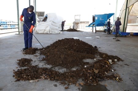 An employee uses a shovel to separate black soldier fly larvae from organic waste at the Sanergy organics recycling facility near Nairobi