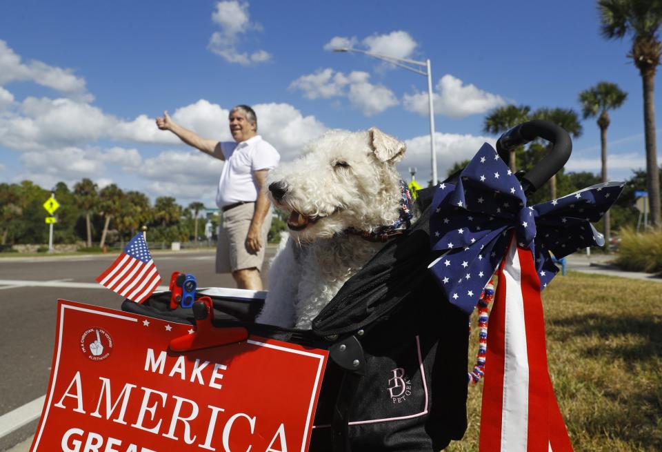 Trump supporter outside a polling station in Clearwater, Fla.