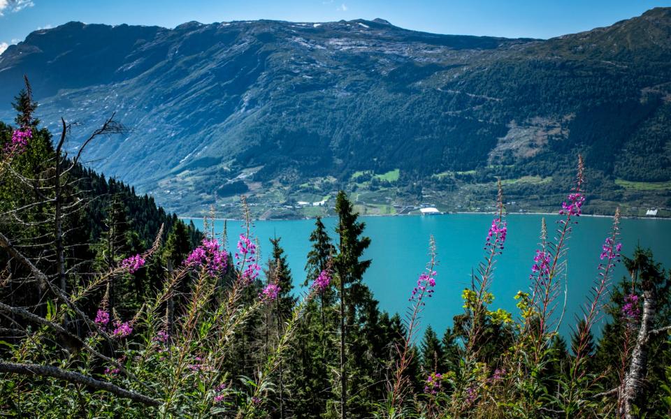 Hardanger Fjord in Norway