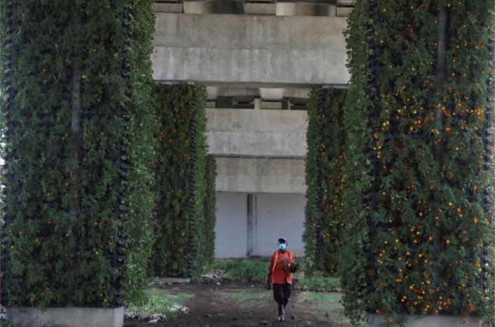 A man walks under the newly constructed Nairobi expressway.