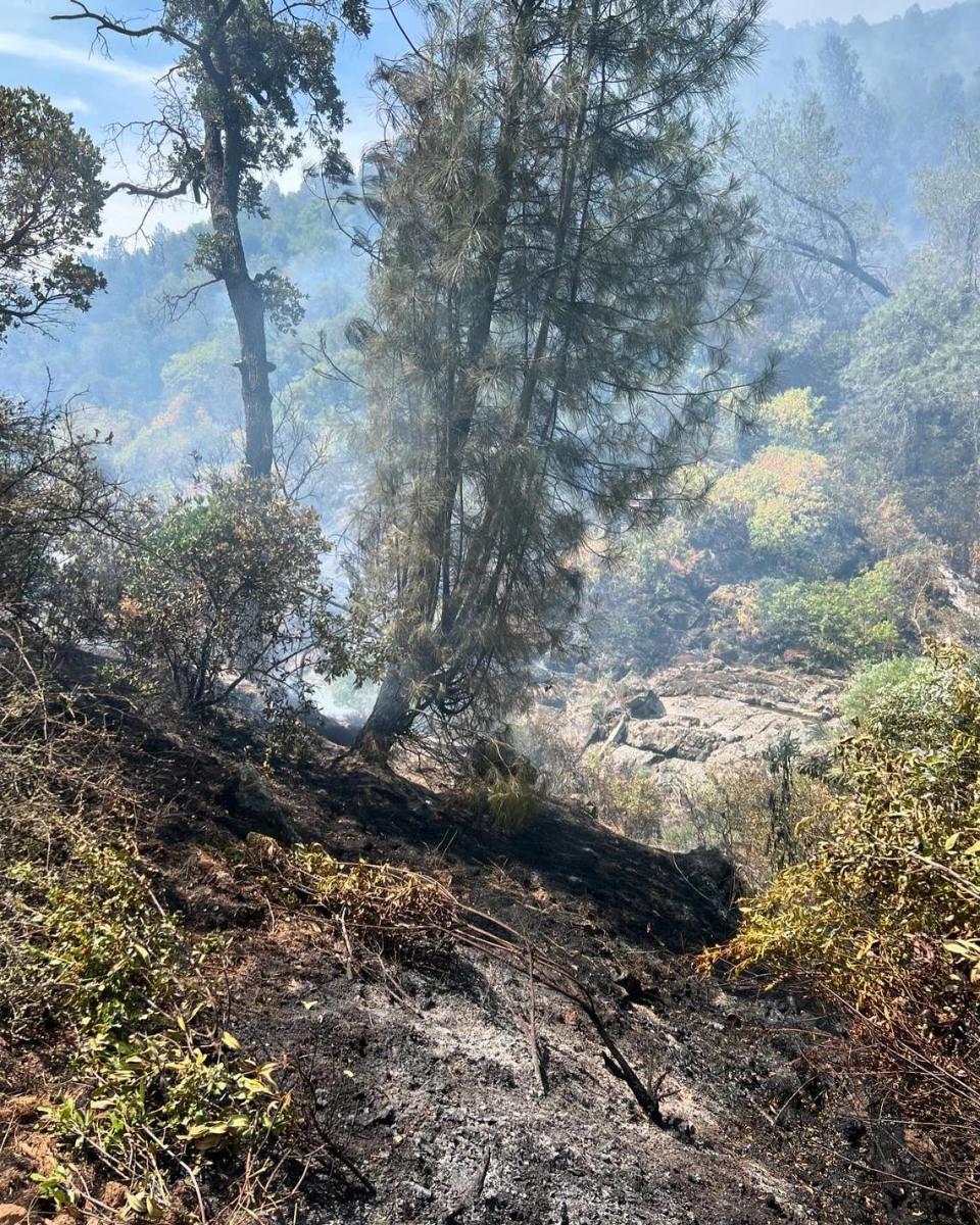 The Aero Fire, burning in Calaveras County, was just over 50% contained as of Thursday morning.