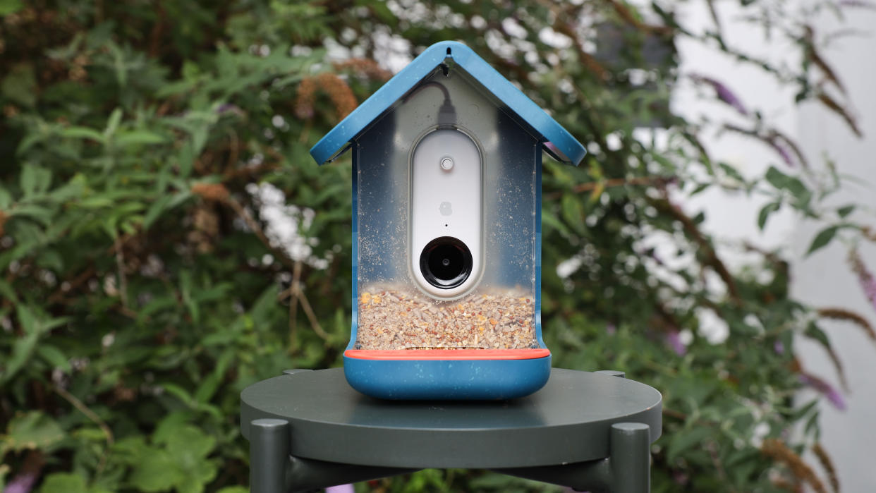  Birdbuddy Smart Feeder in a garden 