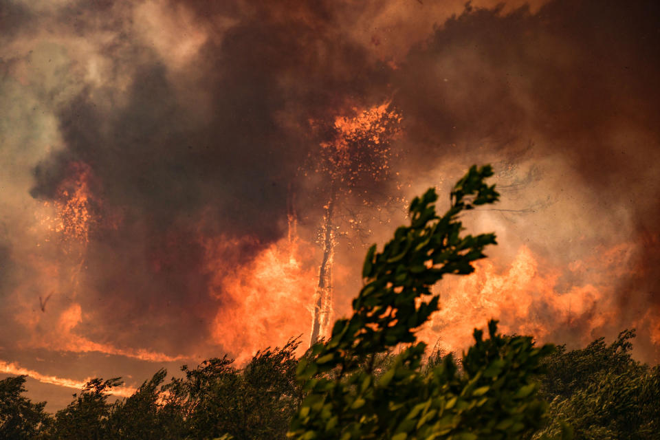 ADANA, TURKEY - AUGUST 02: Smoke and flames rise as the fight against the fire continues in Adana, Turkey on August 02, 2021. It was stated that the fire started in the field and spread to the forest area. (Photo by Ozan Efeoglu/Anadolu Agency via Getty Images)