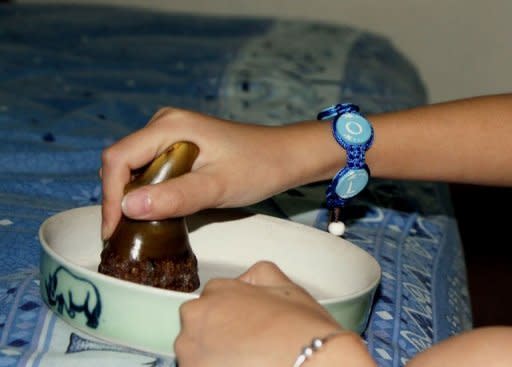 A woman grinds a rhino horn on a ceramic plate to create a powder at her home in Hanoi. Many in Vietnam believe the horn has miracle healing properties and the communist country's voracious appetite for the substance has become the main driver of global demand