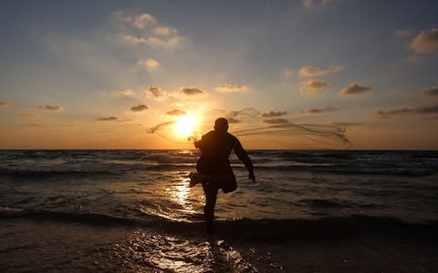 Gaza  - Credit: Ali Jadallah/Anadolu Agency/Getty