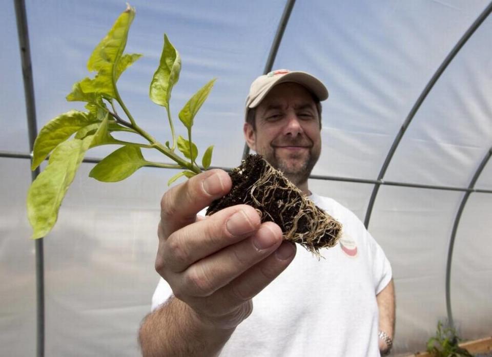 Ed Currie, owner of PuckerButt Pepper Company, shows off the Carolina Reaper, certified the world’s hottest pepper. Currie told Fort Mill police some of his world record peppers may have been stolen and sent to a competing business.