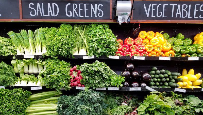 Salad greens and vegetables in Cambridge, Mass.