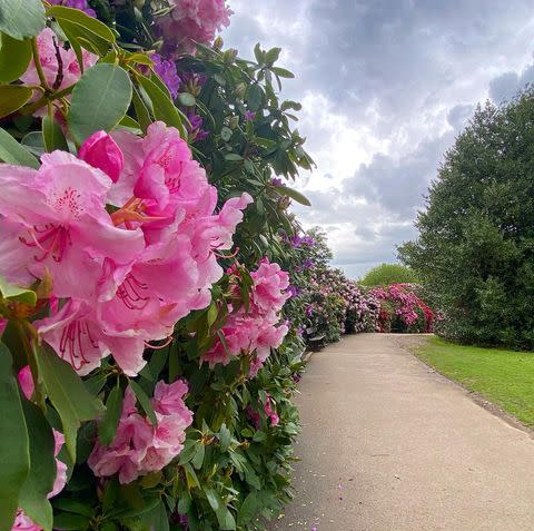 10) Temple Newsam, West Yorkshire