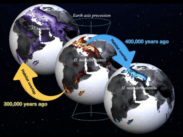 Preferred habitats of Homo sapiens (purple shading, left), Homo heidelbergensis (red shading, middle), Homo neanderthalensis (blue shading, right) calculated from the new simulation.