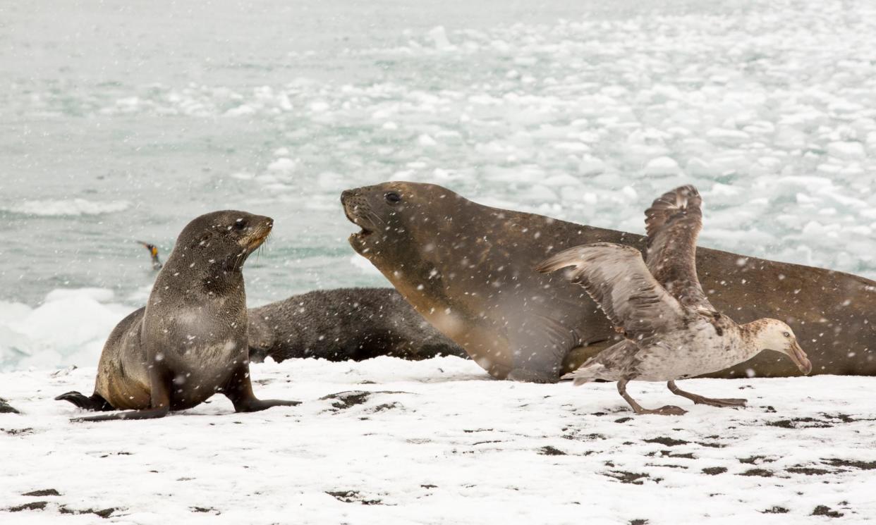 <span>Photograph: Ashley Cooper/Alamy</span>